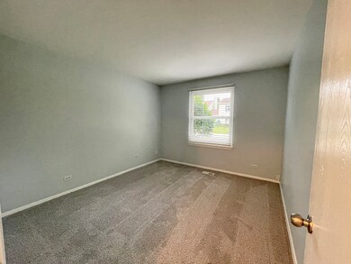 1010 Perry Dr, Algonquin, IL 60102 - photo 7