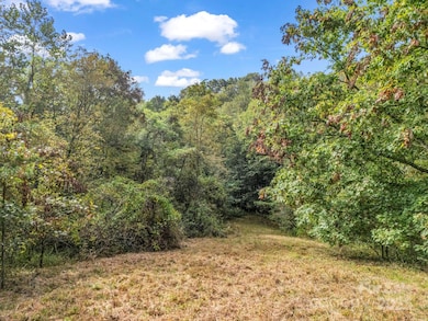 19 Woodchuck Cove Way, Alexander, NC 28701 - photo 3