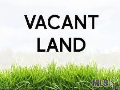 Lot A3 Reinninger Rd, Denham Springs, LA 70706 - photo 2