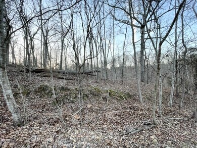 Lots 19 & 20 Tudor Ln, Bella Vista, AR 72715 - photo 3