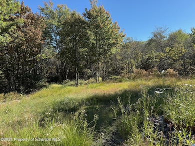 0 W Shore Dr, Mount Cobb, PA 18436 - photo 3