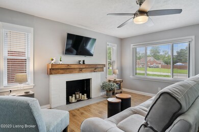 New stainless steel chimney cap