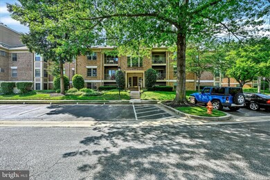 14202 Dove Creek Way unit 303, Sparks Glencoe, MD 21152 - photo 2