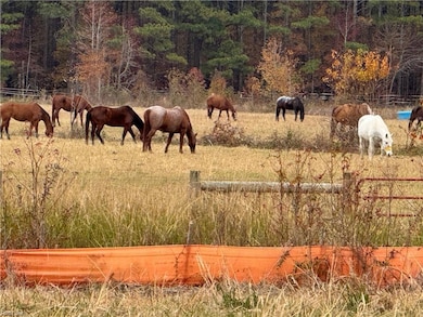 2624 Ballahack Rd, Chesapeake, VA 23322 - photo 7