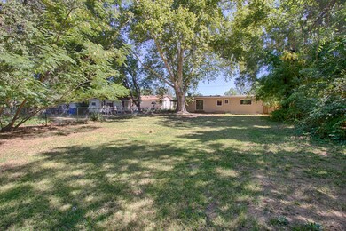 backyard-2