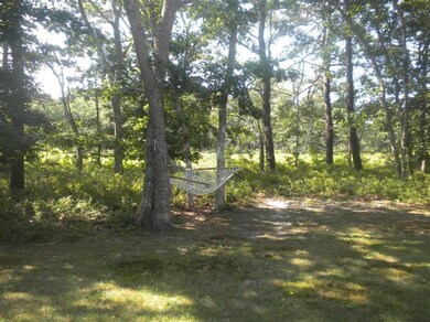 10 Farm Path Rd, Oak Bluffs, MA 02557 - photo 3