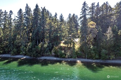 10709 Larson Rd unit AI, Anderson Island, WA 98303 - photo 6