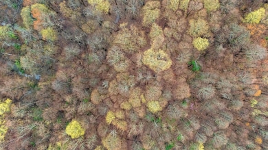 Drone Top Down 3