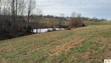 3720 Highway 566, Magnolia, KY 42757 - photo 6