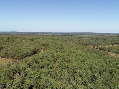 0 Highway 9, Dustin, OK 74839 - photo 5