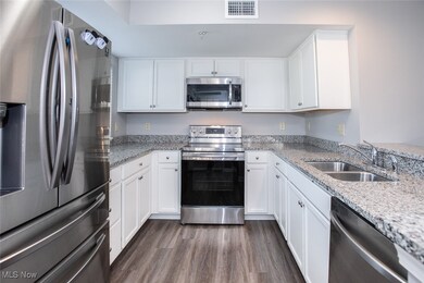 Chandlers Lane Condominiums unit 102, Olmsted Falls, OH 44138 - photo 3