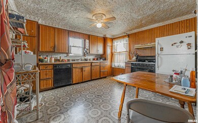 225 S Hamilton St, Lincoln, IL 62656 - photo 7