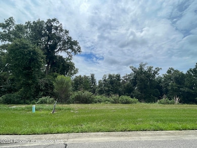 5995 Creek Ridge Rd, Brooksville, FL 34601 - photo 2