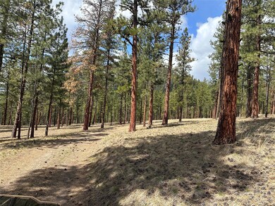 31760 Hwy 10 W, Alberton, MT 59820 - photo 2