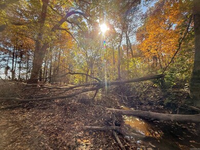 0 County Road 105, Hickory Ridge, AR 72347 - photo 2