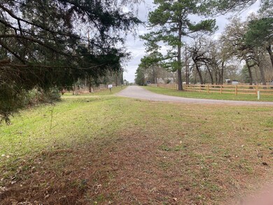 25835 Brushy Creek Dr, Hockley, TX 77447 - photo 3