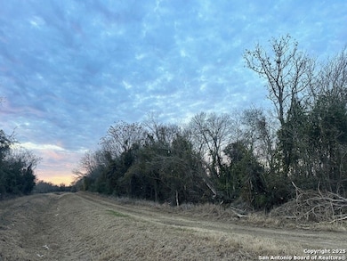 1 MacDona Lacoste Rd, Atascosa, TX 78002 - photo 3