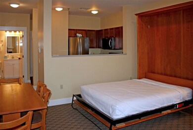 448 Qtr I Jackson Gore Inn, Ludlow, VT 05149 - photo 5