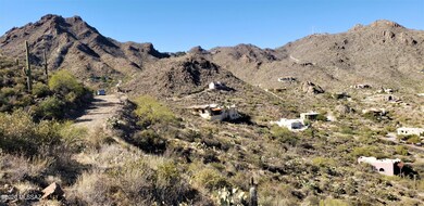 OVERVIEW OF THE SUBDIVISION
