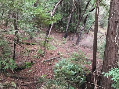 0 Upper E Zayante unit ML81693618, Los Gatos, CA 95033 - photo 3