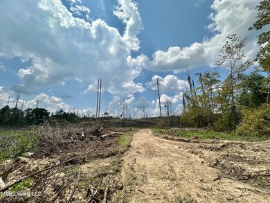 0 Whitetown Ln, Hazlehurst, MS 39083 - photo 4