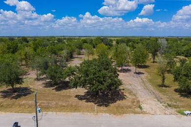 0 Megan Lynn Ln, League City, TX 77511 - photo 4