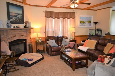 Photo 7