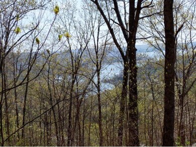 Lot 10 Plateau, Kimberling City, MO 65686 - photo 3