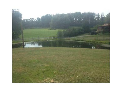 Yard/Garden.