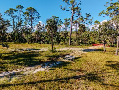 629 Fish Creek Rd, Perry, FL 32348 - photo 6