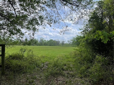 260 Box Elder Ln, Broken Bow, OK 74728 - photo 3