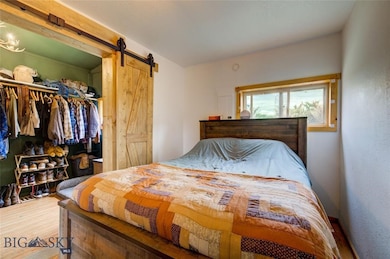 Downstairs bedroom & walk-in closet. - Photo from