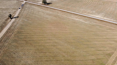 TBD Shelley Ln, Nichols, SC 29581 - photo 3