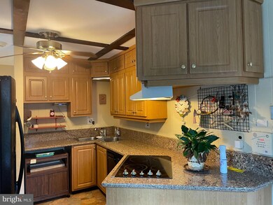 909 Lincoln Ave, Falls Church, VA 22046 - photo 6