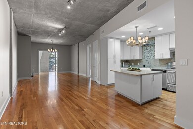 417 Frazier Ave unit 303, Chattanooga, TN 37405 - photo 2