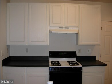 5002 Willow Branch Way unit 103, Owings Mills, MD 21117 - photo 7