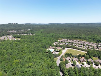 0 Ballantrae Rd unit 24141998, Pelham, AL 35124 - photo 6