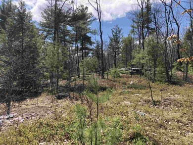 Lot 56-52-1 Federal Hill Rd unit 56-52-1, Milford, NH 03055 - photo 6