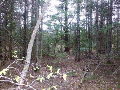 00 Deer Path, Carroll, NH 03595 - photo 7