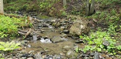 00 Dexter Mountain Rd, Glover, VT 05839 - photo 7