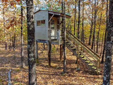 253 Judge Anderson Rd, Strawberry, AR 72469 - photo 5