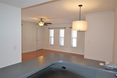 718 Lyndhurst St unit 922, Dunedin, FL 34698 - photo 5