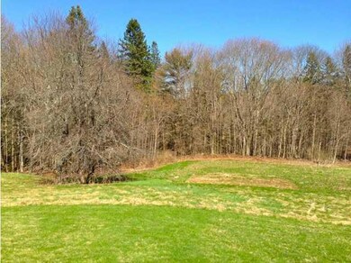 Yard/Garden.