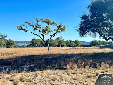 1217 Libby Lookout, Canyon Lake, TX 78133 - photo 3