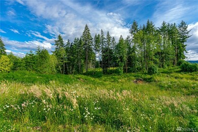 202 Holcomb Rd, Chehalis, WA 98532 - photo 6