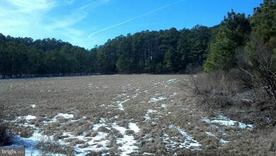 2796 Lakesville Crapo Rd, Church Creek, MD 21622 - photo 6