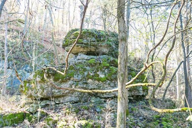 0 Nogales Rd unit 1031757, Elkins, AR 72727 - photo 4