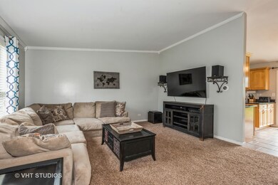 1245 Old Mill Ln, Algonquin, IL 60102 - photo 2