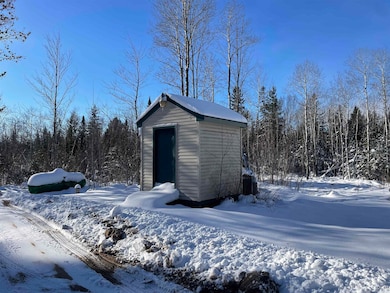 9593 Chvala Rd, Manistique, MI 49854 - photo 4