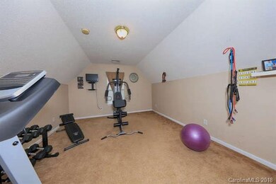 Large Bonus Room/Bedroom